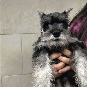 Meet your Posher, Paola